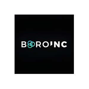 Boro Inc brand logo for boroinc.com