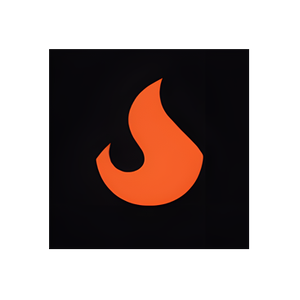 Boss Grill brand logo for bossgrill.co.uk