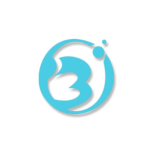 Bostingner brand logo for bostingner.com