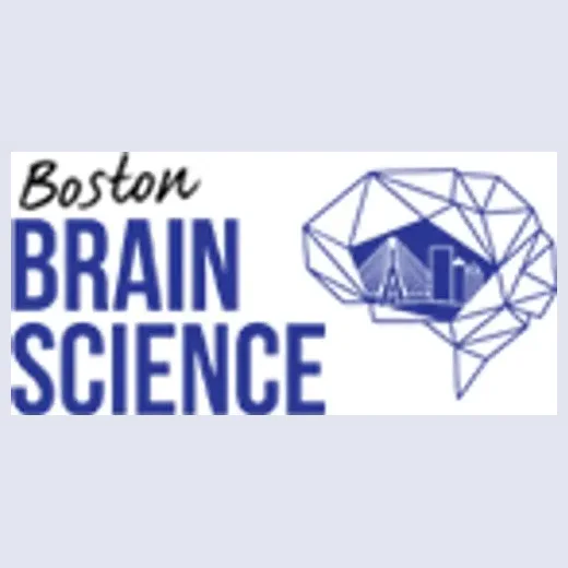 Boston Brain brand logo for bostonbrainscience.com
