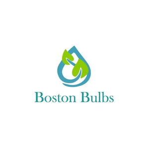 Boston Bulbs brand logo for bostonbulbswholesale.co.uk
