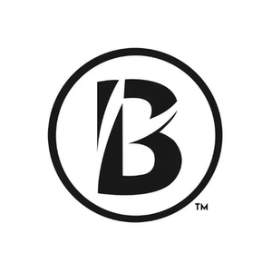 Boston Business Women brand logo for bostonbusinesswomen.com
