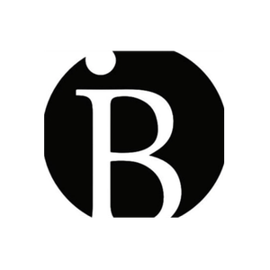 Boston International brand logo for bostoninternational.com