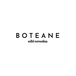 Boteane brand logo for boteane.co
