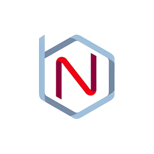 BotNation brand logo for botnation.ai