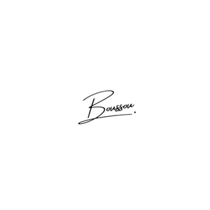 Boussou brand logo for boussou.com