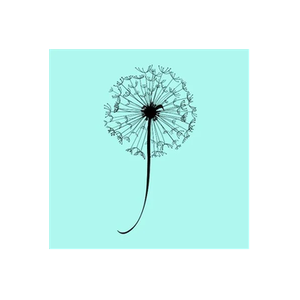 Boutique Dandelion brand logo for boutiquedandelion.com