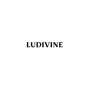 Boutique Ludivine brand logo for boutiqueludivine.com