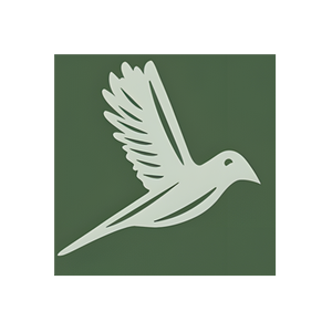 Bowerbird brand logo for bowerbirdstays.com