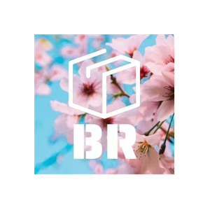 Boxed Returns brand logo for boxedreturns.com