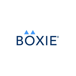 Boxiecat brand logo for boxiecat.com