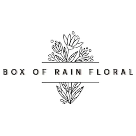 boxofrainfloral brand logo for boxofrainfloral.net