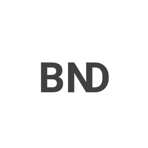 Boys Next Door brand logo for boysnextdoor-apparel.co