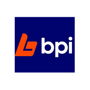 BPI Auctions brand logo for bpiauctions.com