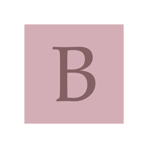 BPW Center brand logo for bpwcenter.com