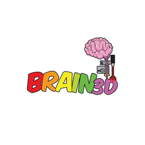 Brain 3D brand logo for brain3d.co