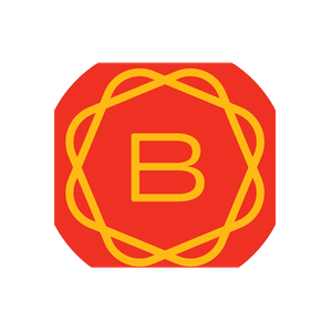 Brain Bean brand logo for brain-bean.com