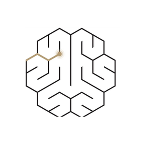 Brain Ritual brand logo for brainritual.com