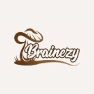 brainezy brand logo for brainezy.com