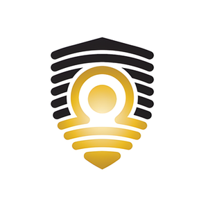 Brainstorm Security Shop brand logo for brainstormsecurityshop.com
