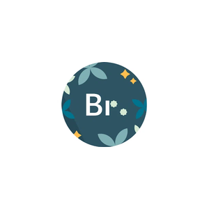 brallium brand logo for brallium.com