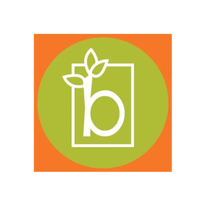 Branch to Box brand logo for branchtobox.com