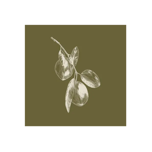 Branche Olive Oil brand logo for branche.co