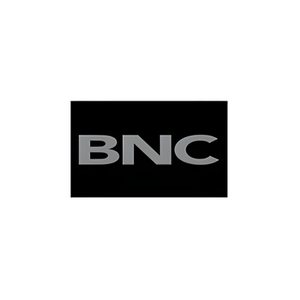 Brand New Conscious brand logo for brandnewconscious.com