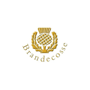 Brandecosse brand logo for brandecosse.com