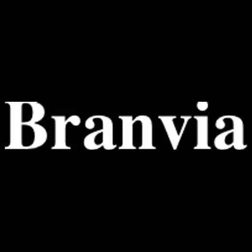 branvia brand logo for branvia.art