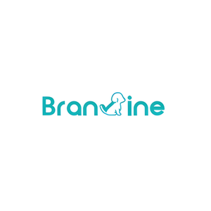 Branvine brand logo for branvine.com