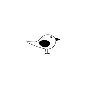 Brave Bird brand logo for bravebird.club