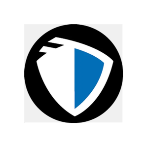 Brave Net brand logo for bravenet.com