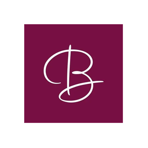 Bravo Bra brand logo for bravobraboutique.com