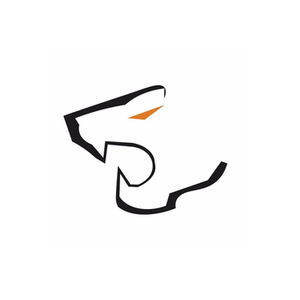 Bravose brand logo for bravose.com