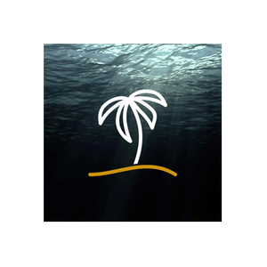 Brazilian Coast brand logo for braziliancoastbeachwear.com