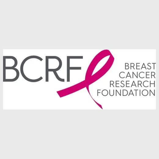 Breast Cancer Research Foundation brand logo for bcrf.org