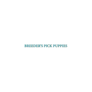 Breeder's Pick brand logo for breederspickpup.com