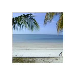 Breeze Vacation Rental brand logo for breezevacationrentals.com