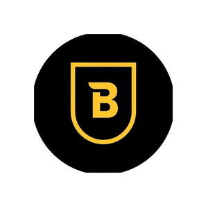 Breezer brand logo for breezerbikes.com