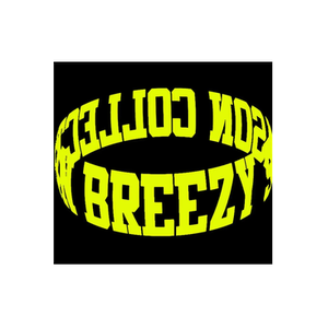 Breezy Season brand logo for breezyseason.com