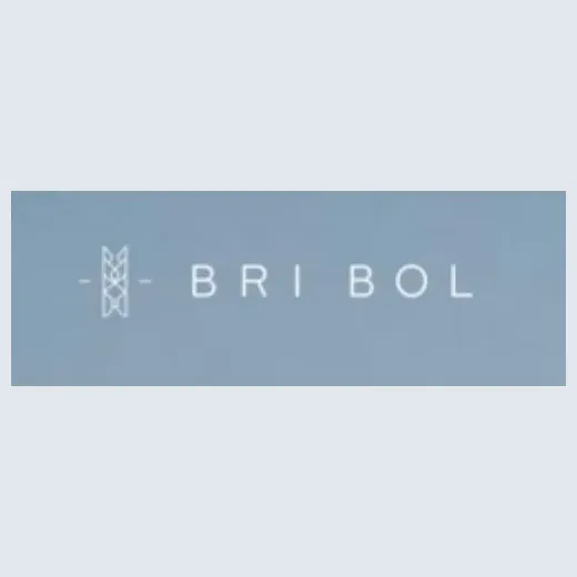 Brianabol brand logo for brianabol.com