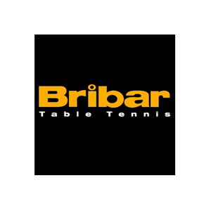 Bribartt brand logo for bribartt.co.uk