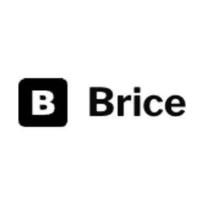 brice brand logo for brice.ai