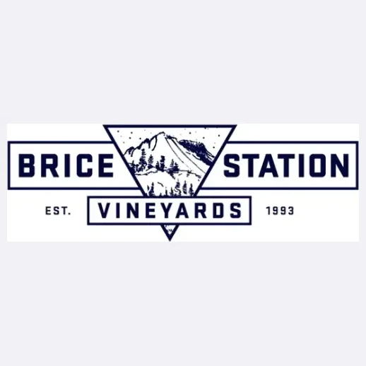 bricestation brand logo for bricestation.com