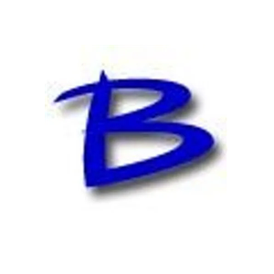 Briden Solutions brand logo for bridensolutions.ca