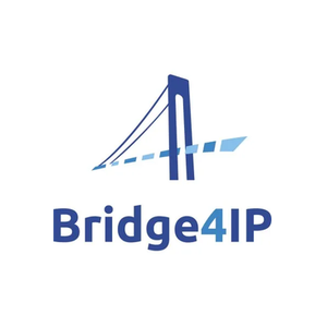 Bridge 4 IP brand logo for bridge4ip.com