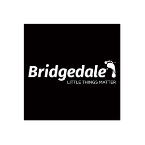 Bridgedale brand logo for bridgedale.com