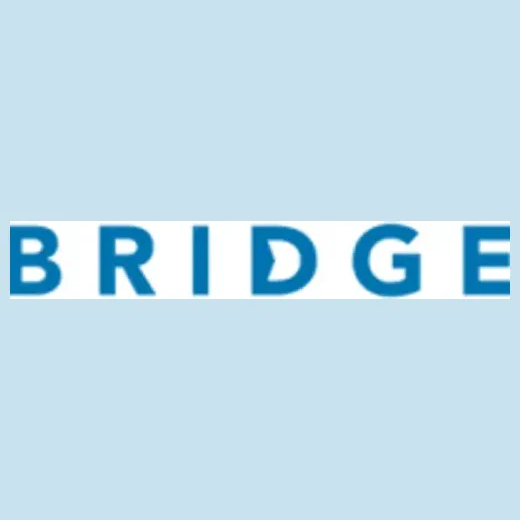 bridgesmsrs brand logo for bridgesmsrs.com