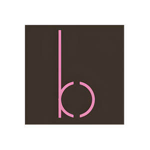 Bridget King brand logo for bridgetkingjewelry.com